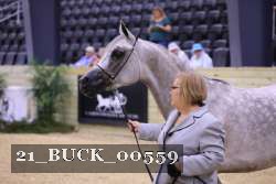 21_BUCK_00559 thumbnail