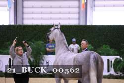 21_BUCK_00562 thumbnail
