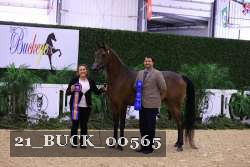 21_BUCK_00565 thumbnail