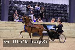 21_BUCK_00581 thumbnail