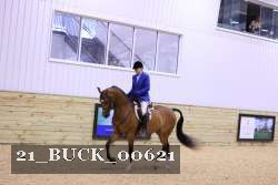 21_BUCK_00621 thumbnail