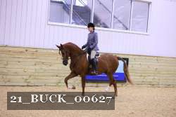 21_BUCK_00627 thumbnail