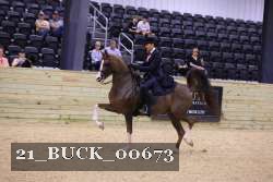 21_BUCK_00673 thumbnail