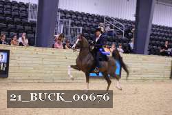 21_BUCK_00676 thumbnail