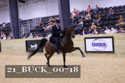 21_BUCK_00718 thumbnail