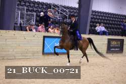 21_BUCK_00721 thumbnail