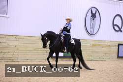 21_BUCK_00762 thumbnail