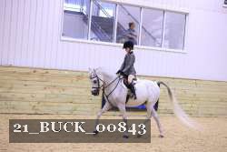 21_BUCK_00843 thumbnail