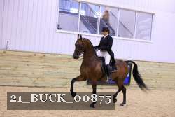 21_BUCK_00875 thumbnail