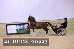 21_BUCK_00923 thumbnail