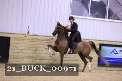 21_BUCK_00971 thumbnail