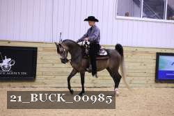 21_BUCK_00985 thumbnail