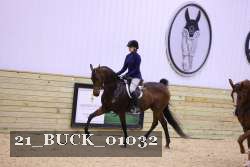 21_BUCK_01032 thumbnail