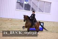 21_BUCK_01052 thumbnail