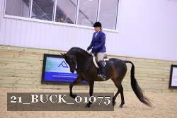 21_BUCK_01075 thumbnail