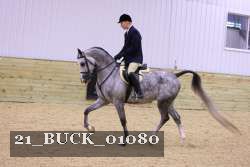 21_BUCK_01080 thumbnail