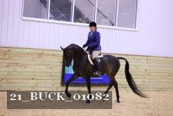 21_BUCK_01082 thumbnail