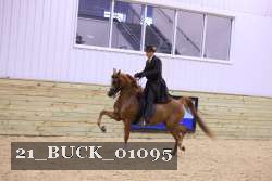 21_BUCK_01095 thumbnail