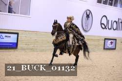 21_BUCK_01132 thumbnail