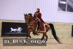 21_BUCK_01136 thumbnail