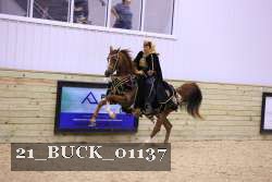 21_BUCK_01137 thumbnail