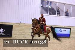 21_BUCK_01138 thumbnail