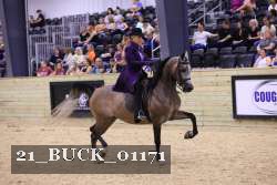 21_BUCK_01171 thumbnail