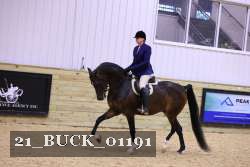 21_BUCK_01191 thumbnail