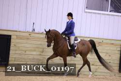 21_BUCK_01197 thumbnail