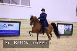 21_BUCK_01227 thumbnail