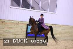 21_BUCK_01230 thumbnail