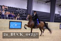 21_BUCK_01257 thumbnail