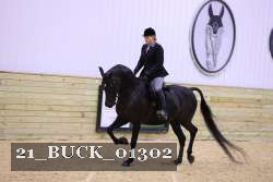 21_BUCK_01302 thumbnail