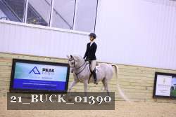 21_BUCK_01390 thumbnail