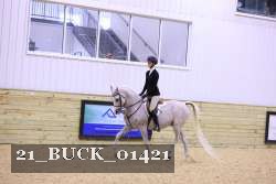 21_BUCK_01421 thumbnail