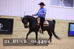 21_BUCK_01449 thumbnail