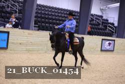 21_BUCK_01454 thumbnail