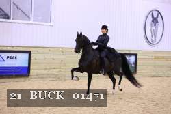 21_BUCK_01471 thumbnail