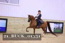 21_BUCK_01531 thumbnail