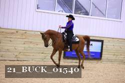 21_BUCK_01540 thumbnail