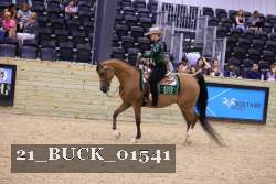 21_BUCK_01541 thumbnail