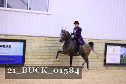 21_BUCK_01584 thumbnail