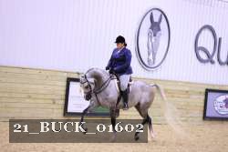 21_BUCK_01602 thumbnail