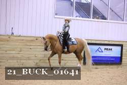 21_BUCK_01641 thumbnail