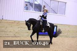 21_BUCK_01646 thumbnail