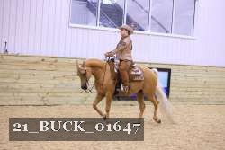 21_BUCK_01647 thumbnail