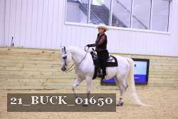 21_BUCK_01650 thumbnail