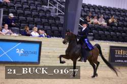 21_BUCK_01677 thumbnail