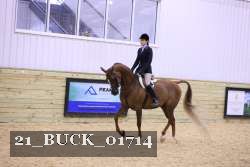 21_BUCK_01714 thumbnail