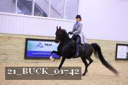 21_BUCK_01742 thumbnail